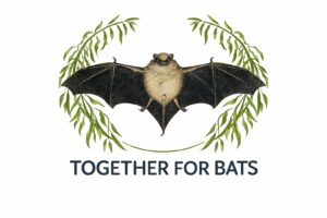 Logo together for bats mit Fledermaus von Dürer