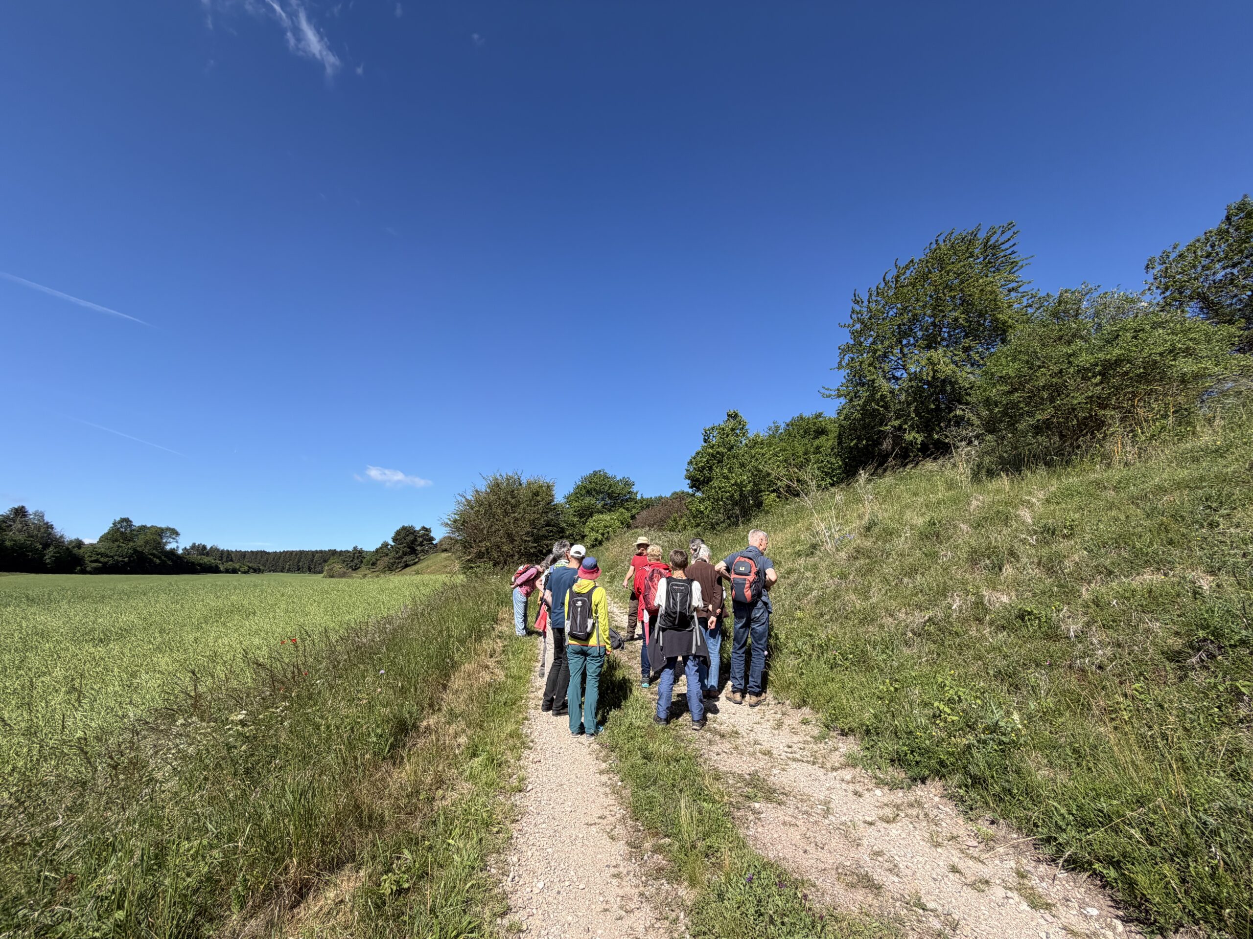 am Tag der Artenvielfalt. Teilnehmer im Hammeltal