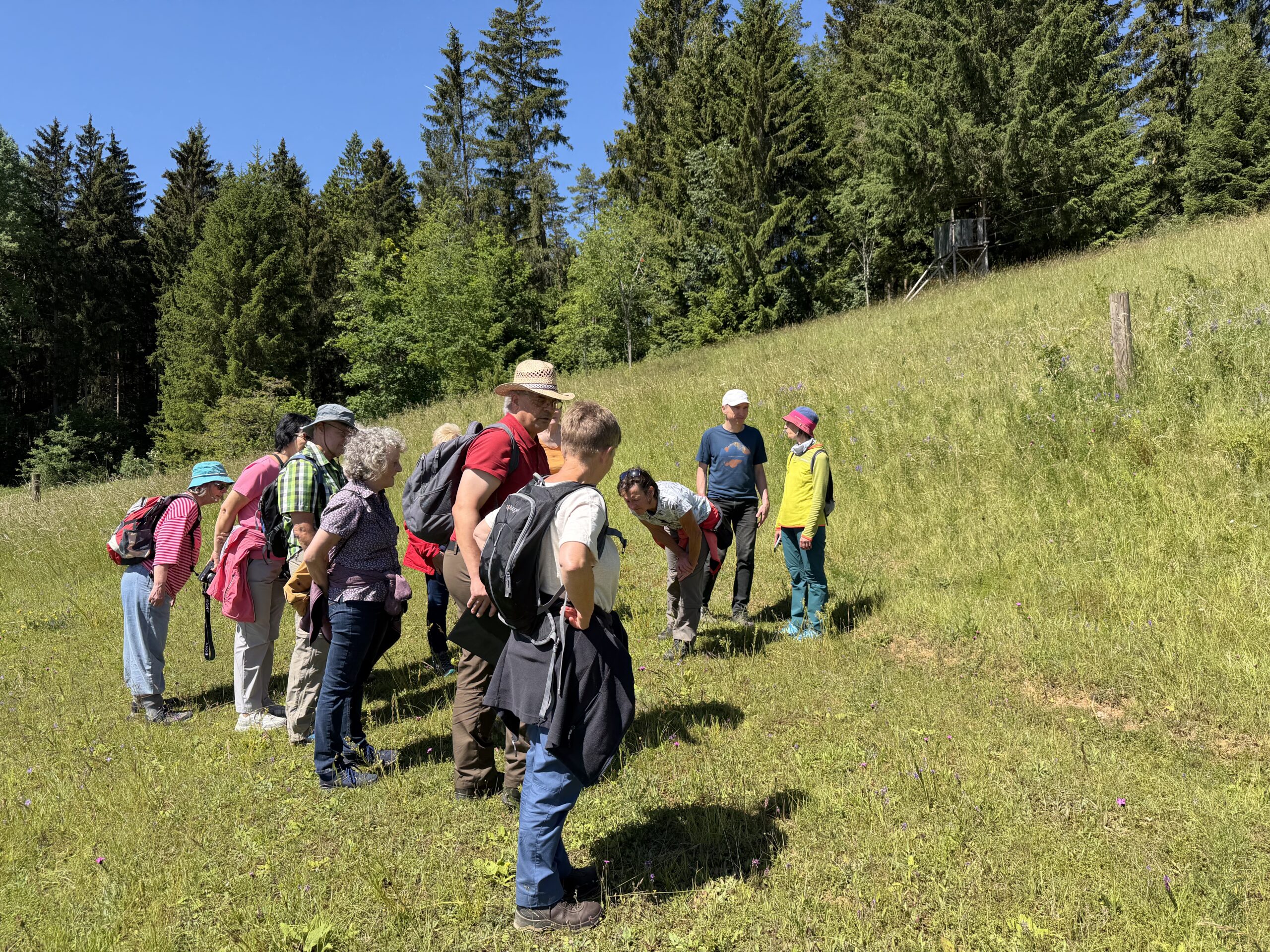am Tag der Artenvielfalt. Teilnehmer im Hammeltal